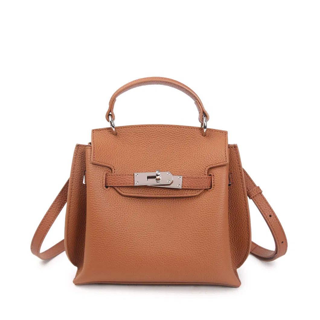 Handbag 2