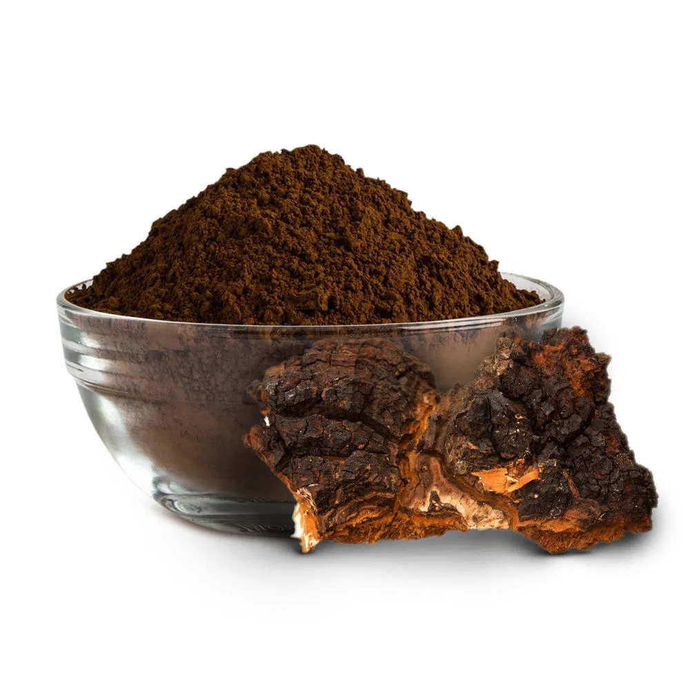 Chaga Mushroom Extract Powder Medicinal Mushroom Extract Pure Healthy Herbal Plant