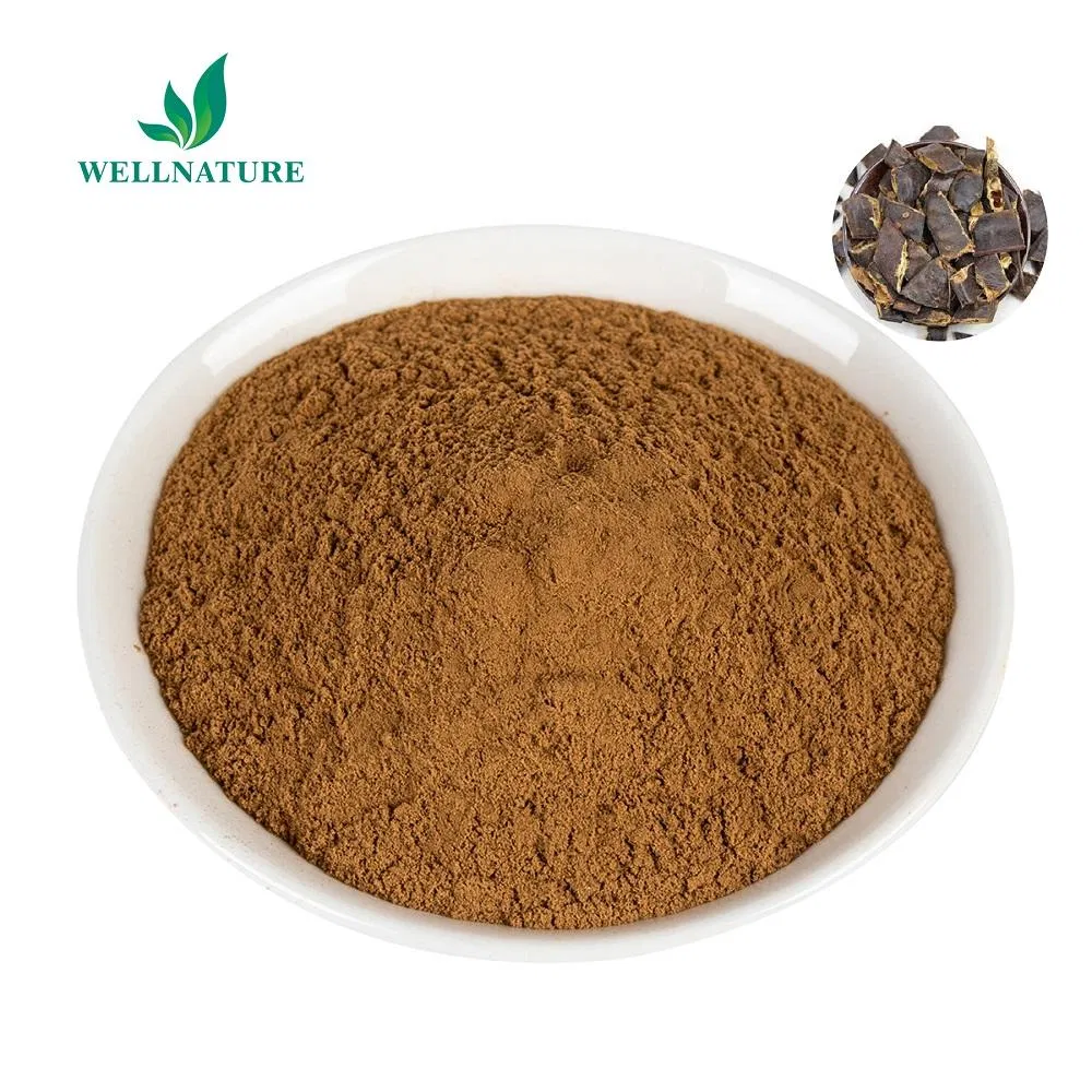 Hot Selling Organic Sapponaria Plant Extract 10: 1 Quillaja Saponaria Extract Powder