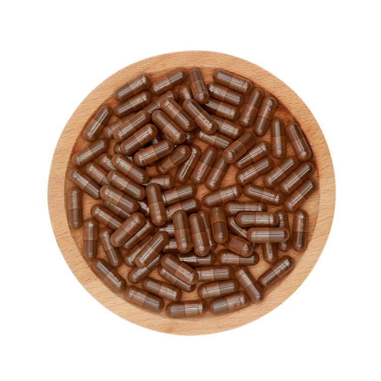 Herbal Healthy Ganoderma Lucidum Capsule Reishi Extract Medicinal Mushroom