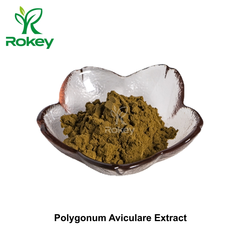 High-Purity Knotweed Standardized Supplement Polygonum Aviculare Extract Powder