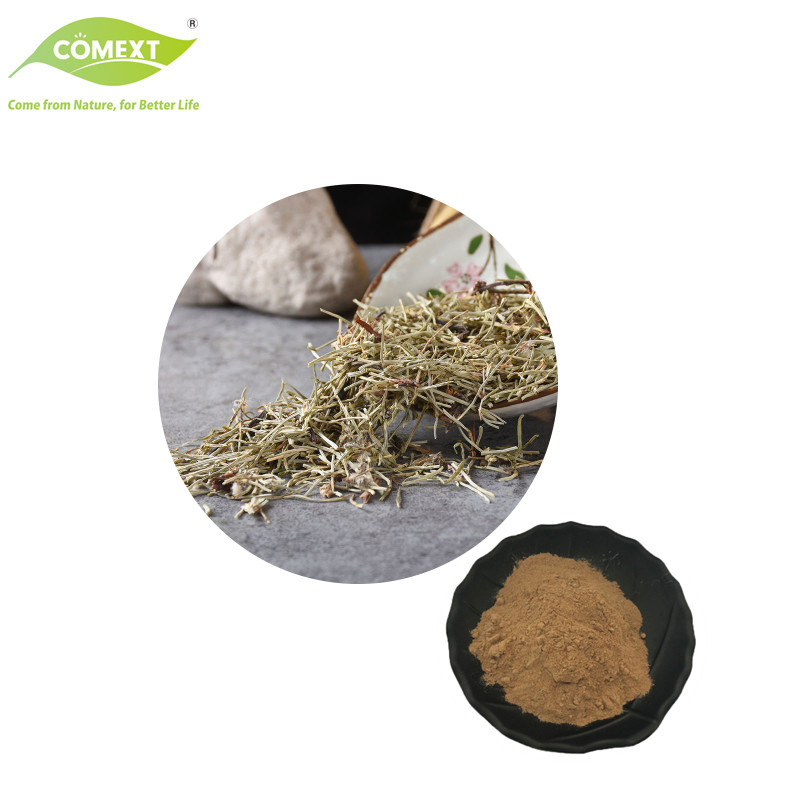 Comext Factory Herbal Extract 7% Silicon Equisetum Arvense Horsetail Extract