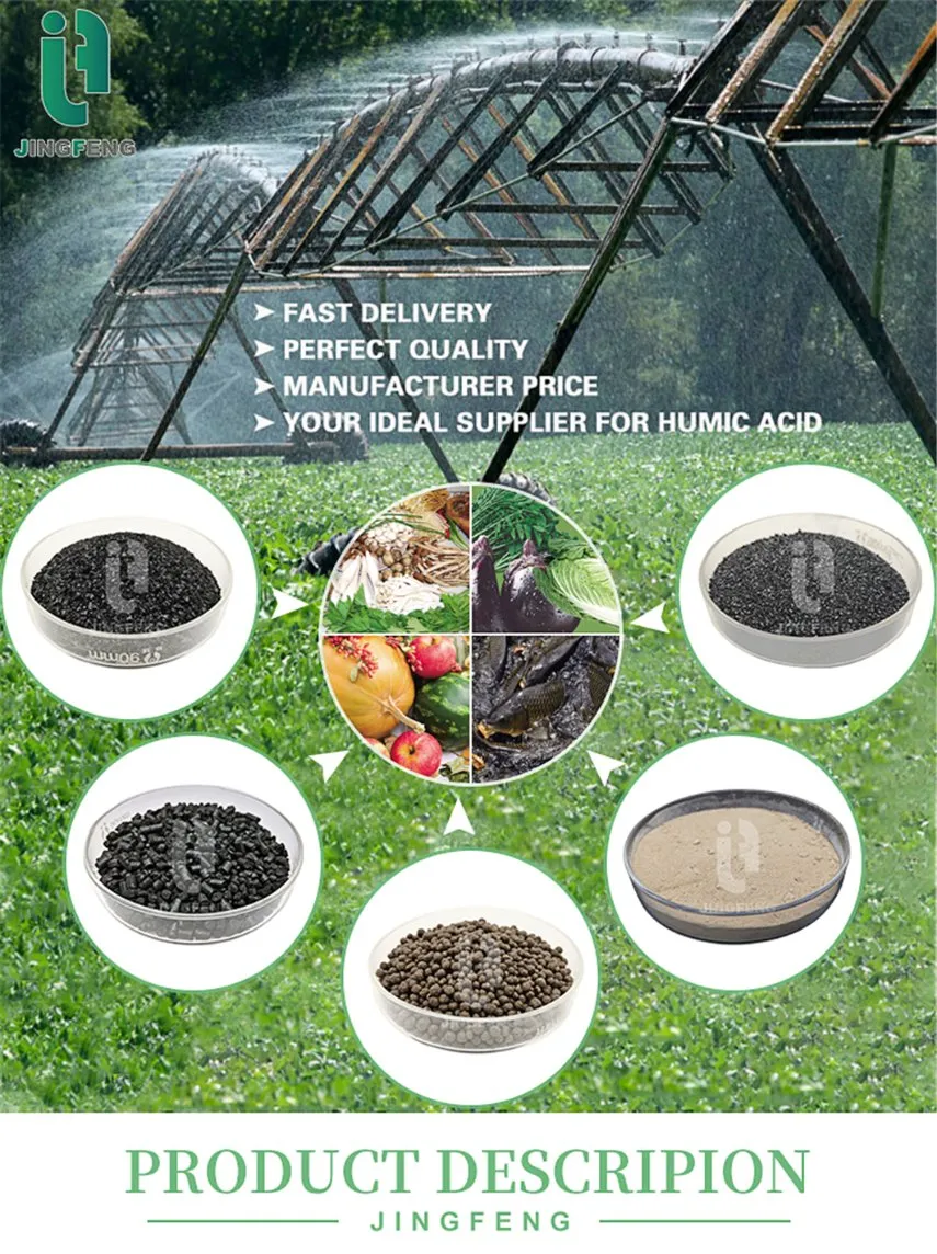 Seaweed Extract Organic Fertilizer