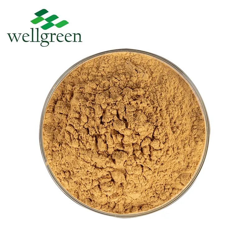 Yucca Extract Product