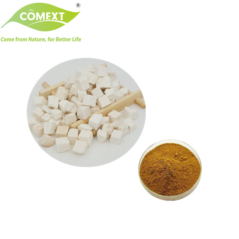 Comext 100% Matural Traditional Chinese Medicinal Poria Cocos Good Quality Herbal Radix Poria Cocos Extract