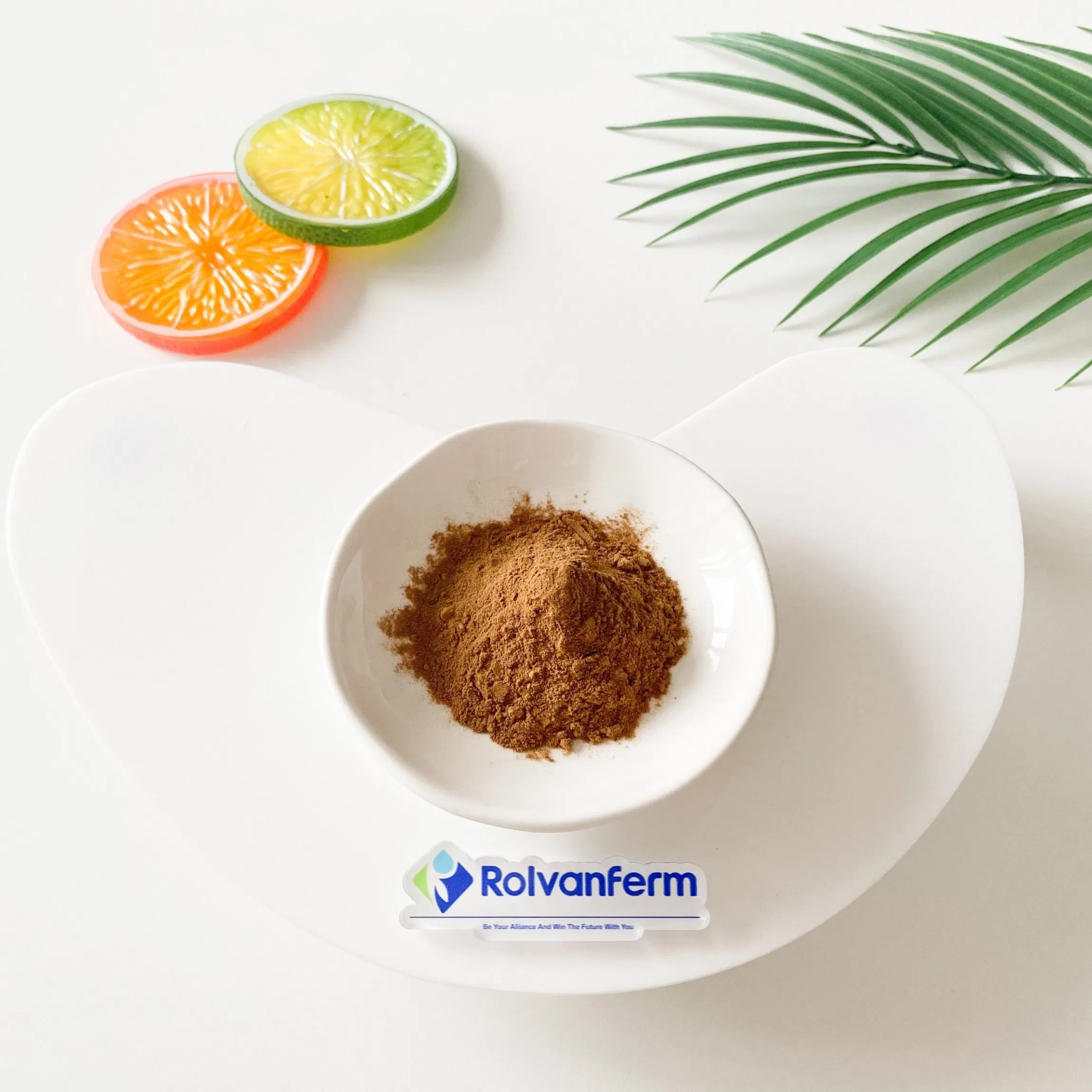 Nothopanax Davidii Extract Botanical Liangwang Tea Plant Extract for Functional Foods and Herbal Applications