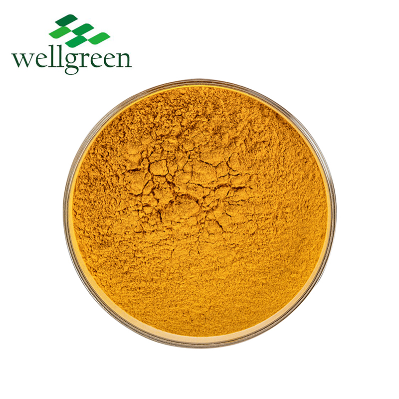 10: 1 Pure Natural Root Powder 95% Turmeric Curcumin Extract