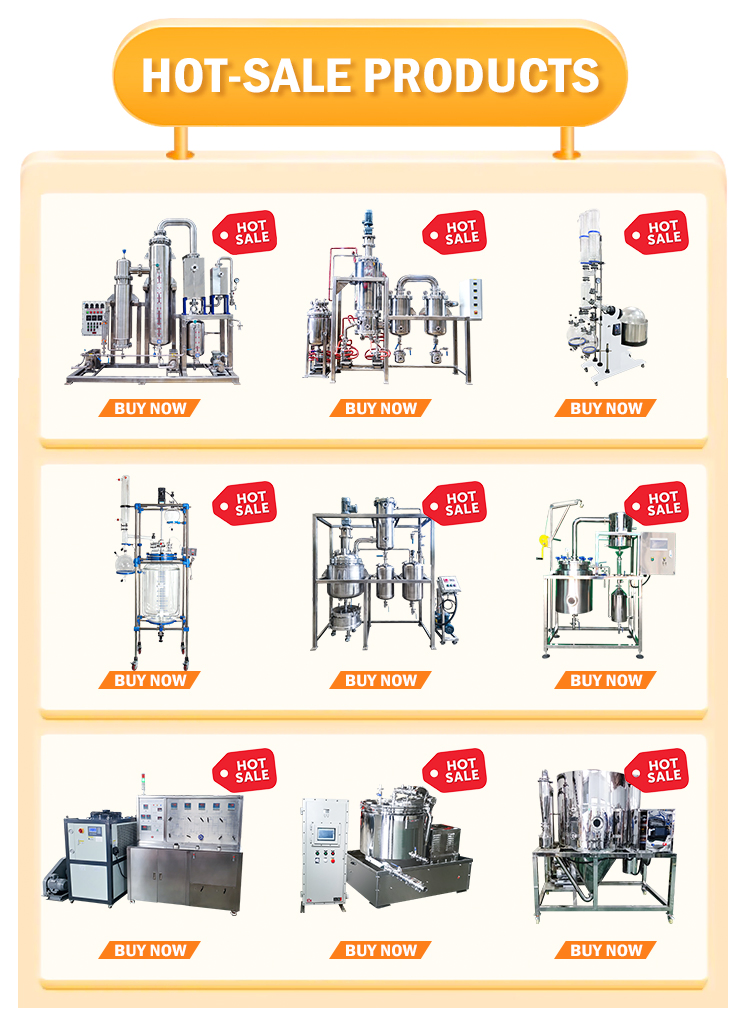 Premium Lemon Balm Essential Extract From China for Global Markets