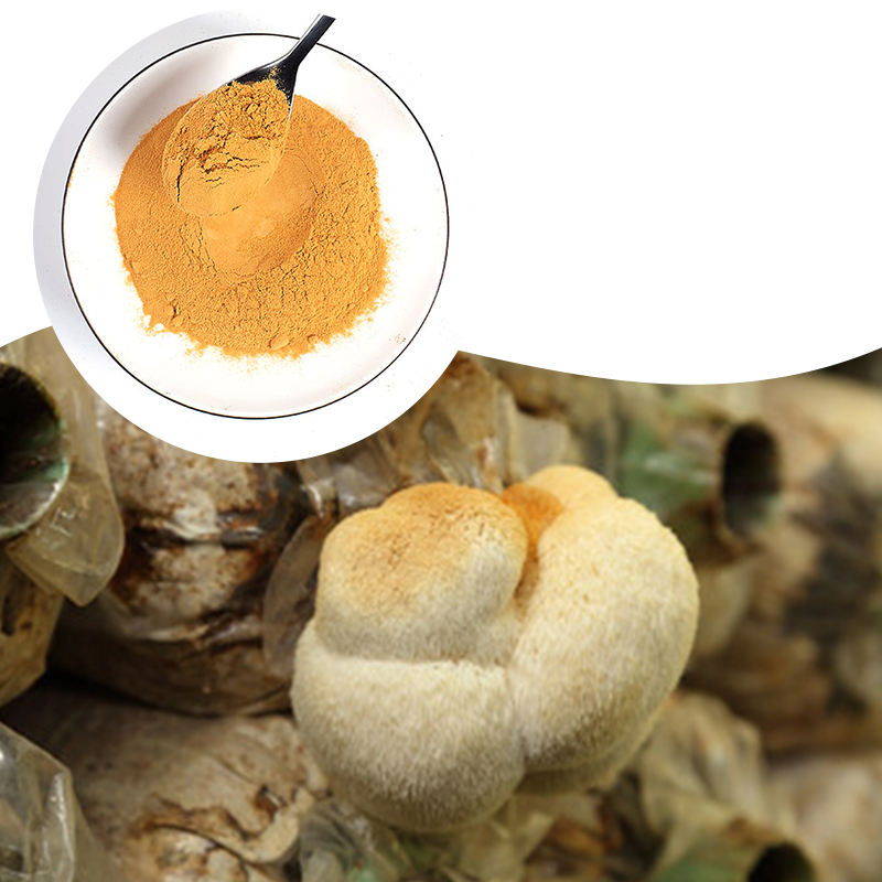 Hot Sale Liquid-Solid Extraction Food Grade Herbal Extract Brown-Yellow Lions Mane Extract