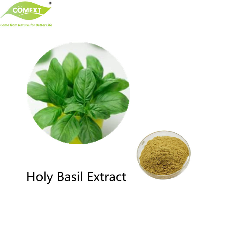Comext Free Sample Manufacturer Bulk Herbal Extract / Holy Basil Extract /4: 1~30: 1 Ocimum Sanctum Extract Health