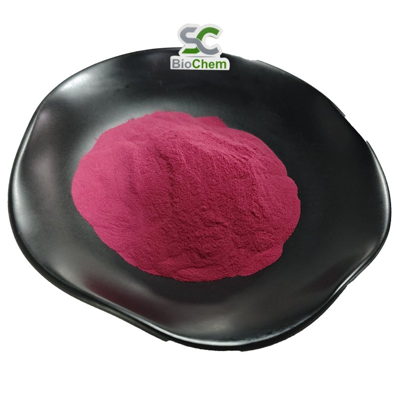 Plant Extract Powder Beet Root Extract Organic Beet Root Extract 10: 1