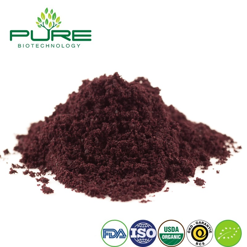 Organic Acai Berry Powder - Natural Fruit Extract for Instant Drinks