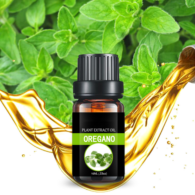 Oregano Oil Herbal Essential Oil