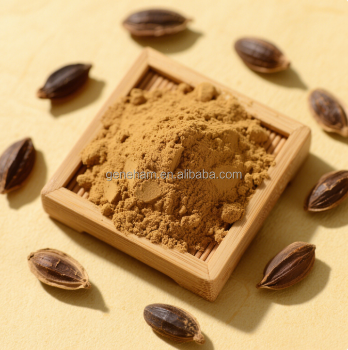 100% Plant-Based Vegan Fenugreek Seed Extract Food Grade 4-Hydroxyisoleucine Powder