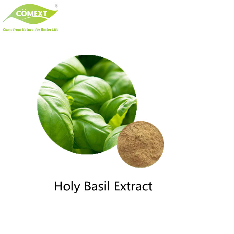 Comext Free Sample Manufacturer Bulk Herbal Extract / Holy Basil Extract /4: 1~30: 1 Ocimum Sanctum Extract Health
