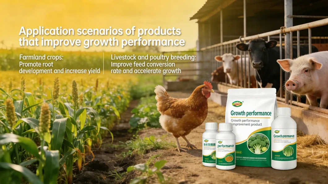 Certification Support