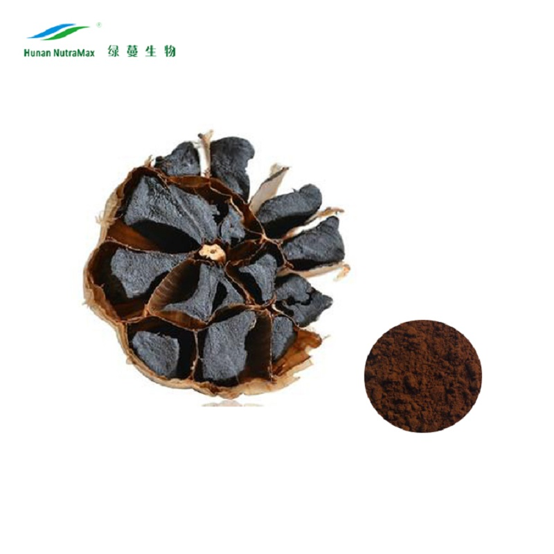 S-Allylcysteine 0.1% Fermented Black Garlic Extract with Herbal Extract
