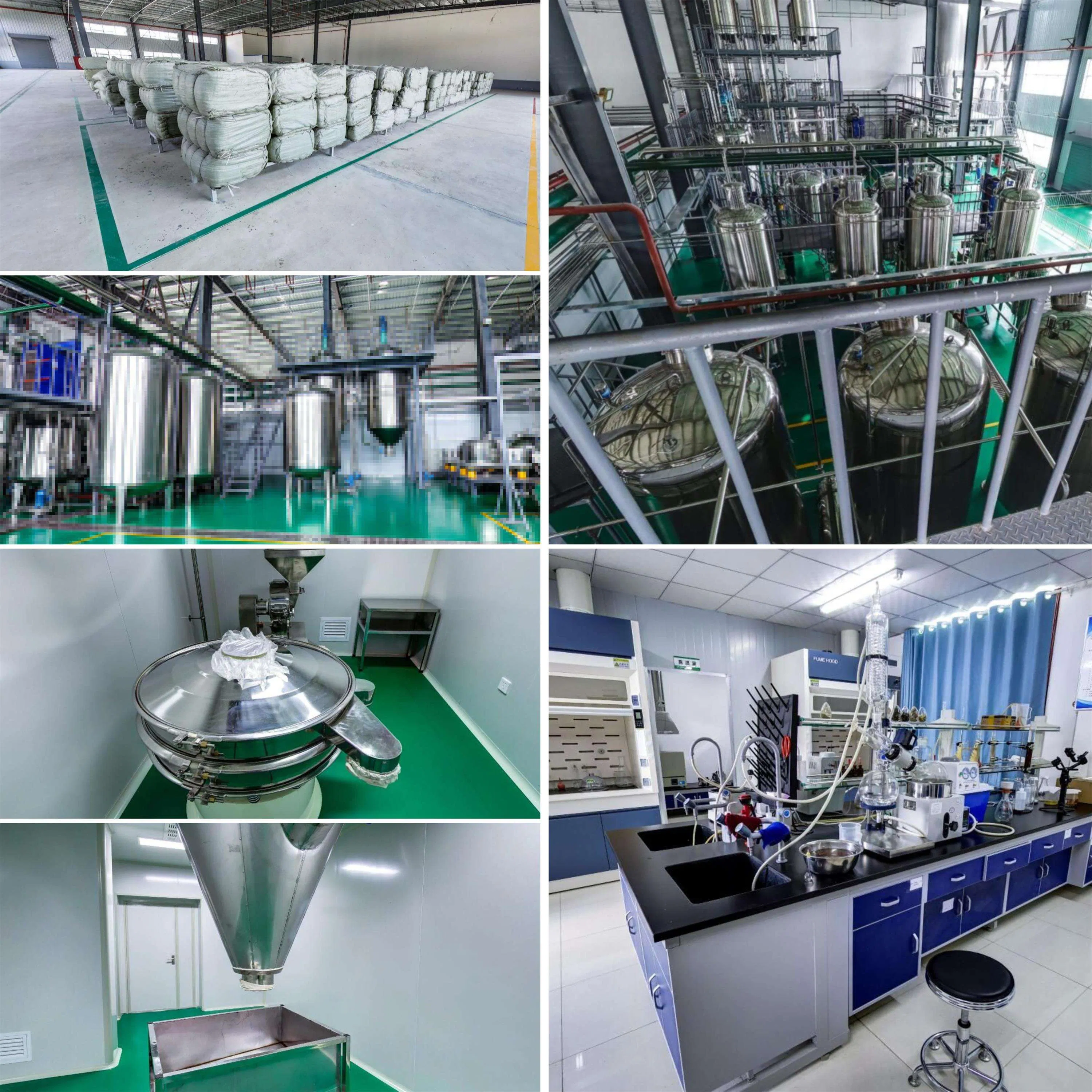 Standardized Bulk Maca Extract 10: 1 for Food and Supplement Manufacturer (Maca Root Powder Extract)