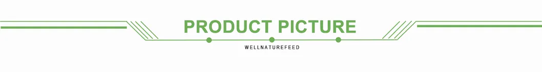 Standardized Olive Leaf Extract Header