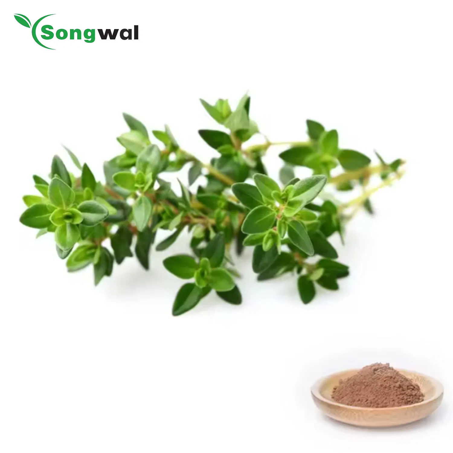 CE Food Additives Manufacturer High Quality 10: 1 Thyme Leaf Thymus Extract Powder