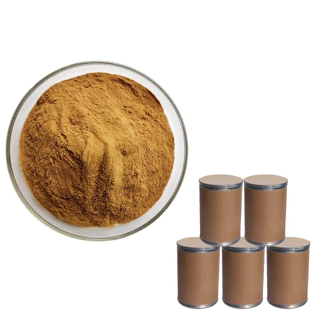 Premium Polygonum Multiflorum Extract with Emodin for Energy Boost