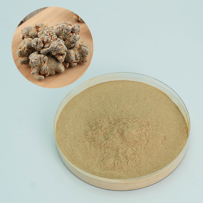 Factory Supply10% 40% 80% Notoginsenosides Panax Notoginseng Root Extract