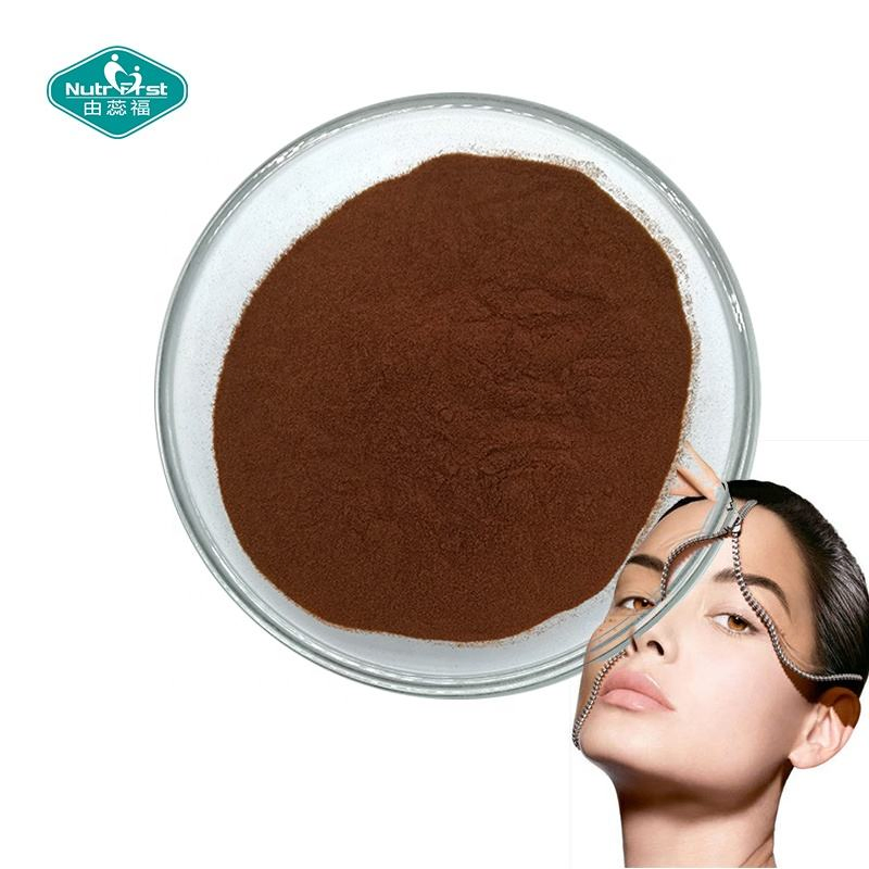 Chinese Supplier Plant Extracts OPC 95% Proanthocyanidins Raw Material Bulk Pine Bark Extract Powder