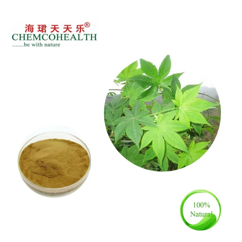 Sweet Tea Extract Powder