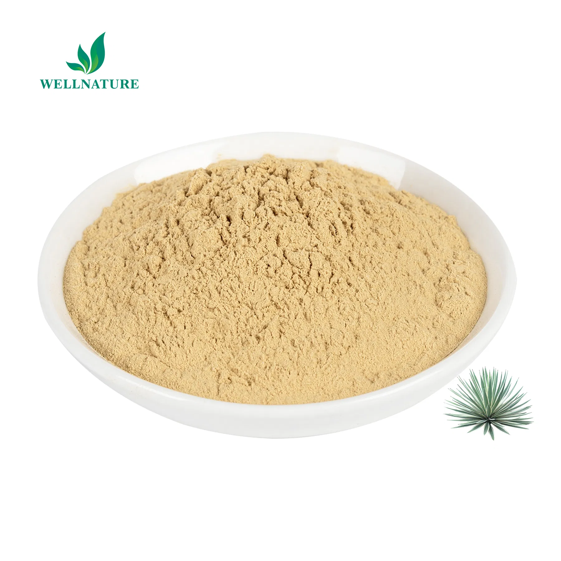 Natural Plant Manufacturer Feed Organic Schidigera Yucca Extract