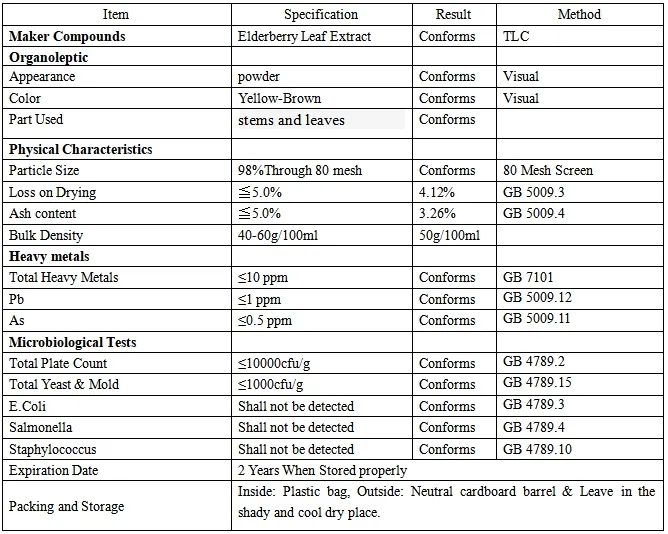 Elderberry Leaf Product Display