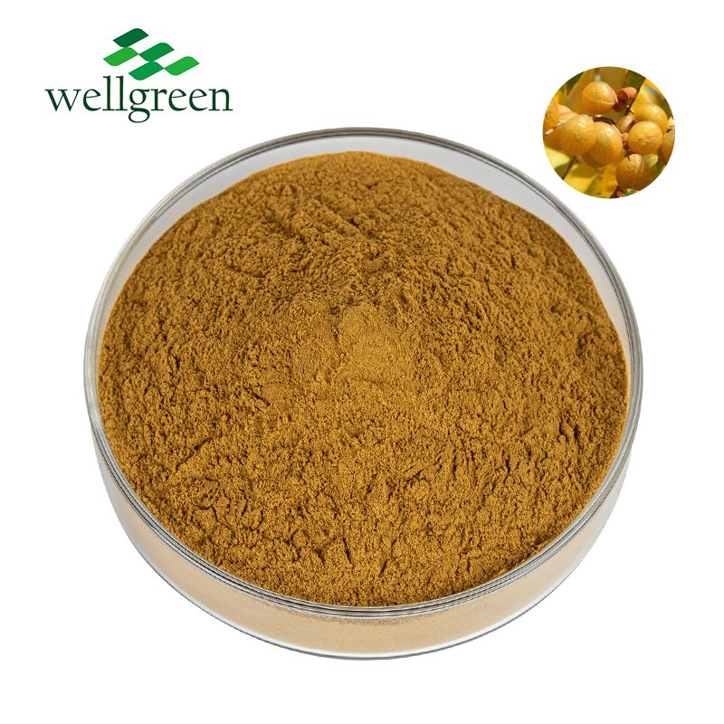 Natural Herbal 10: 1 20: 1 Sapindus Extract Powder Soap Nut Extract
