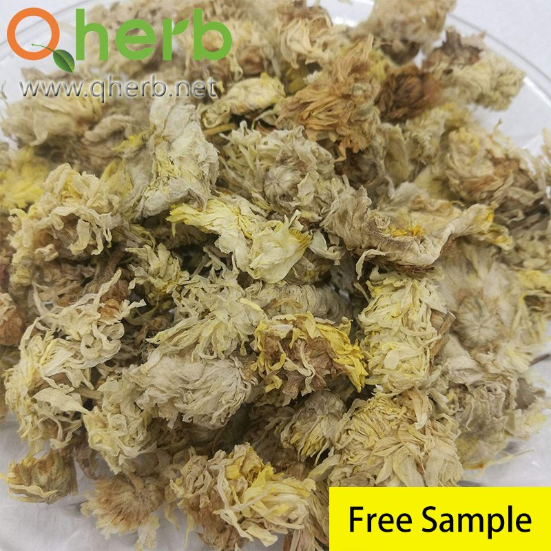 Natural Wild Extracts Spray Dried 10: 1 Chrysanthemum Morifolium Flower Extract