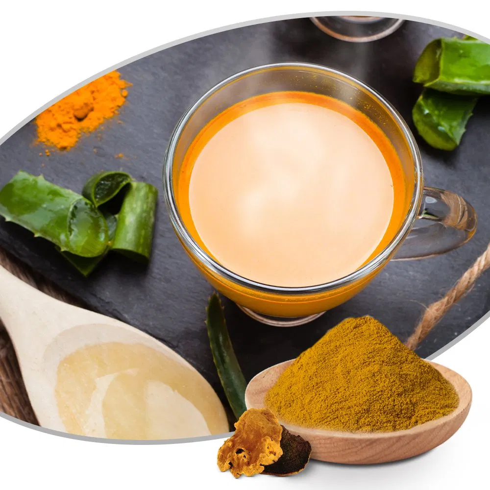 Mushroom Phellinus Linteus Extract Mushroom Powder