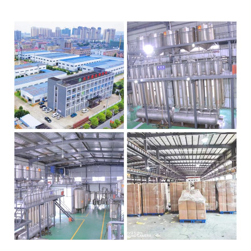 World Well-Being Biotech ISO&FDA Certified 4: 1 10: 1 Buchu Leaf Extract