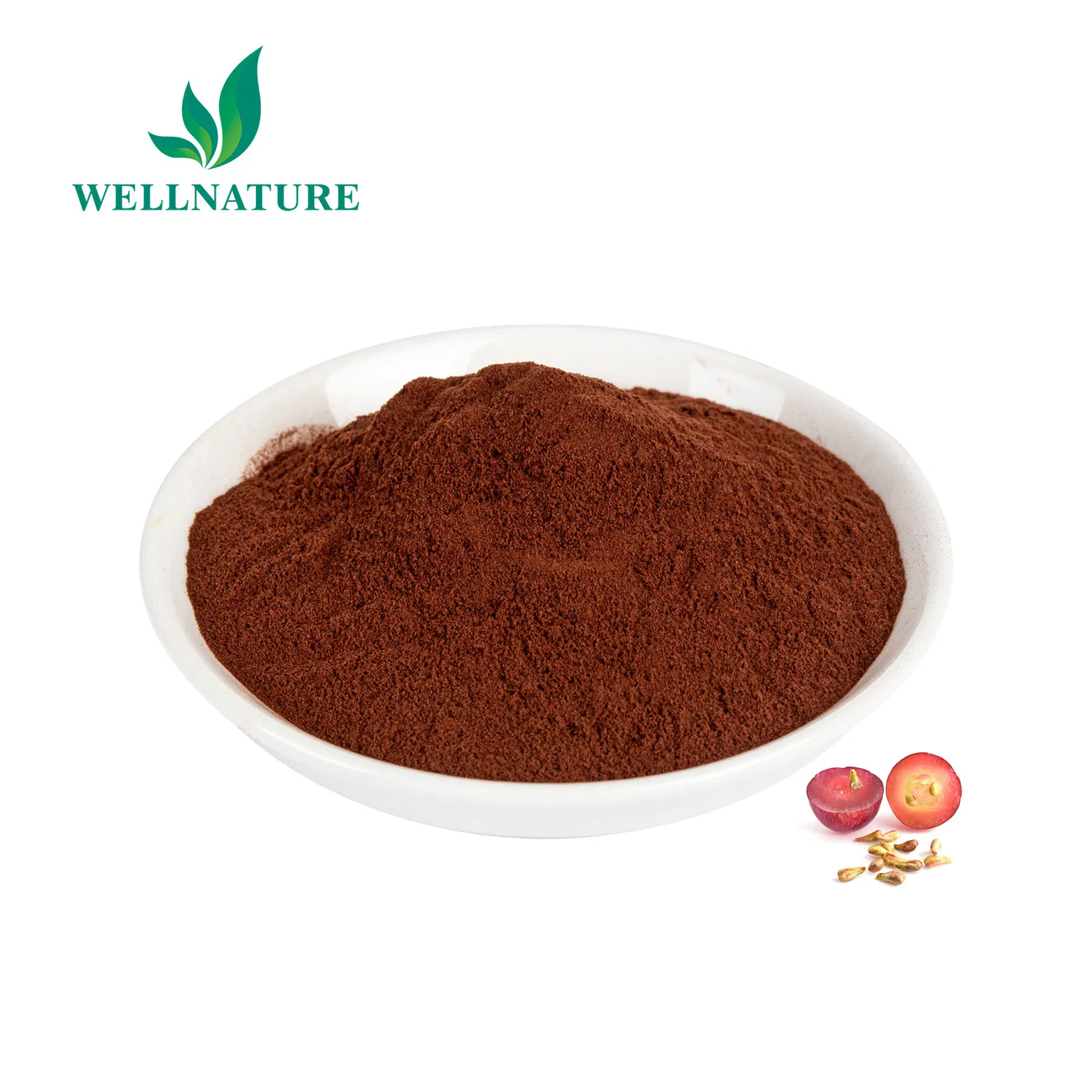 Standardized 95% Proanthocyanidins (OPC) for Nutraceutical and Cosmetic Active Formulations Grape Seed Extract