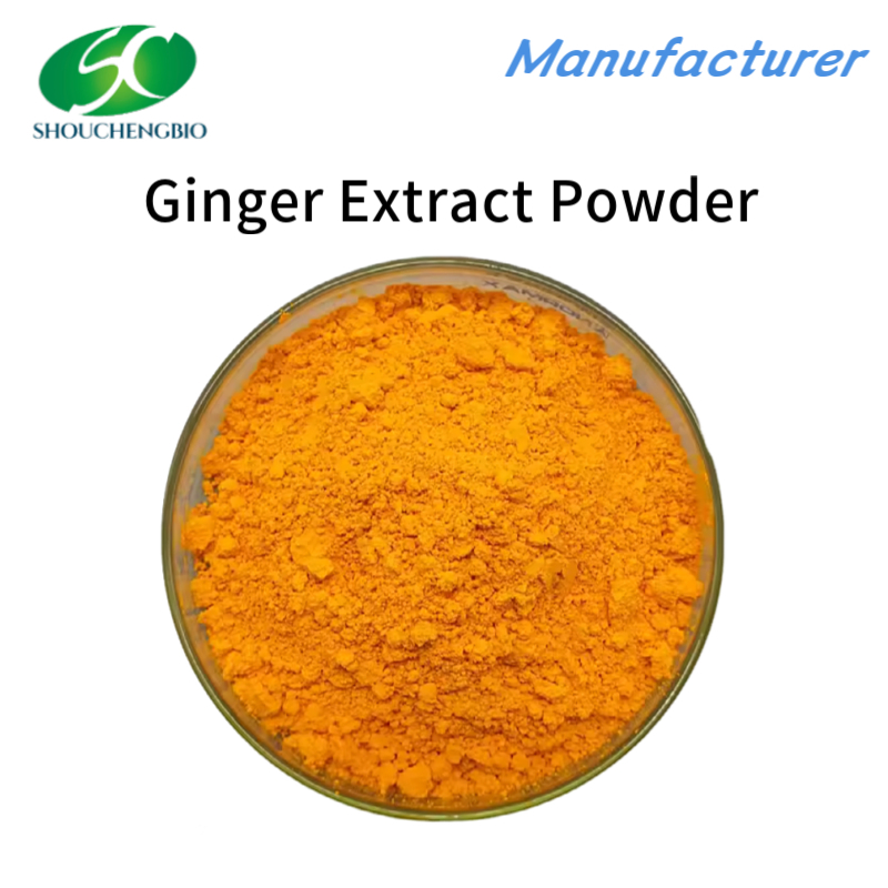 100% Pure Nature Oragnic Ginger Root Extract Powder Sw Flavor