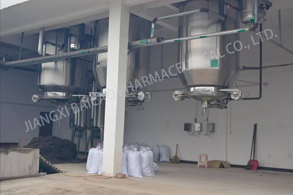 Garlic Extract Detail 4