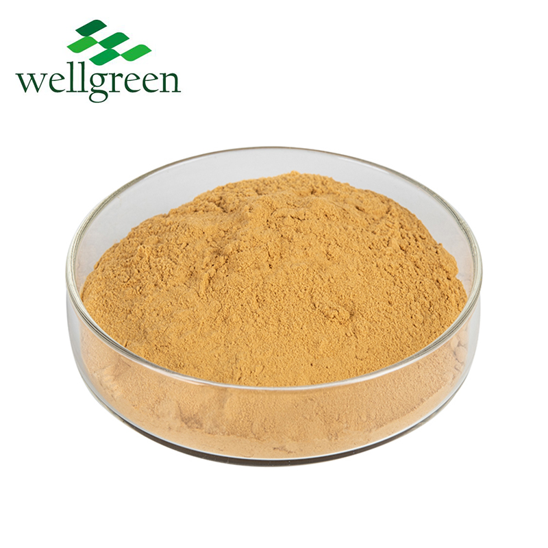 Health Food Skin Care Natural Herbal Source Powder Ginger Extract
