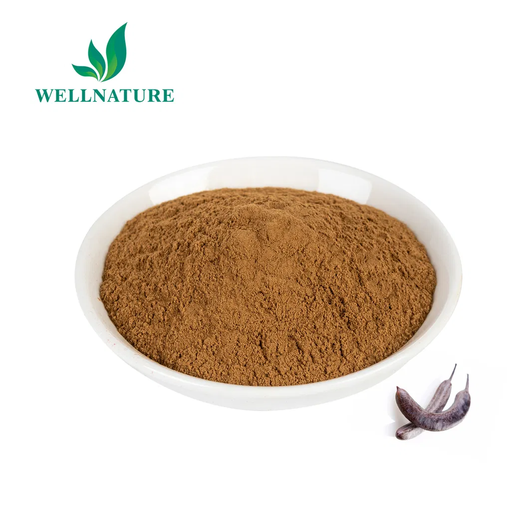 Quillaja Saponaria Product Shot