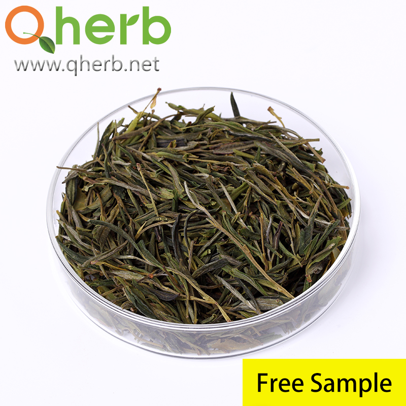 Health Food Products Herbal Tea Extract