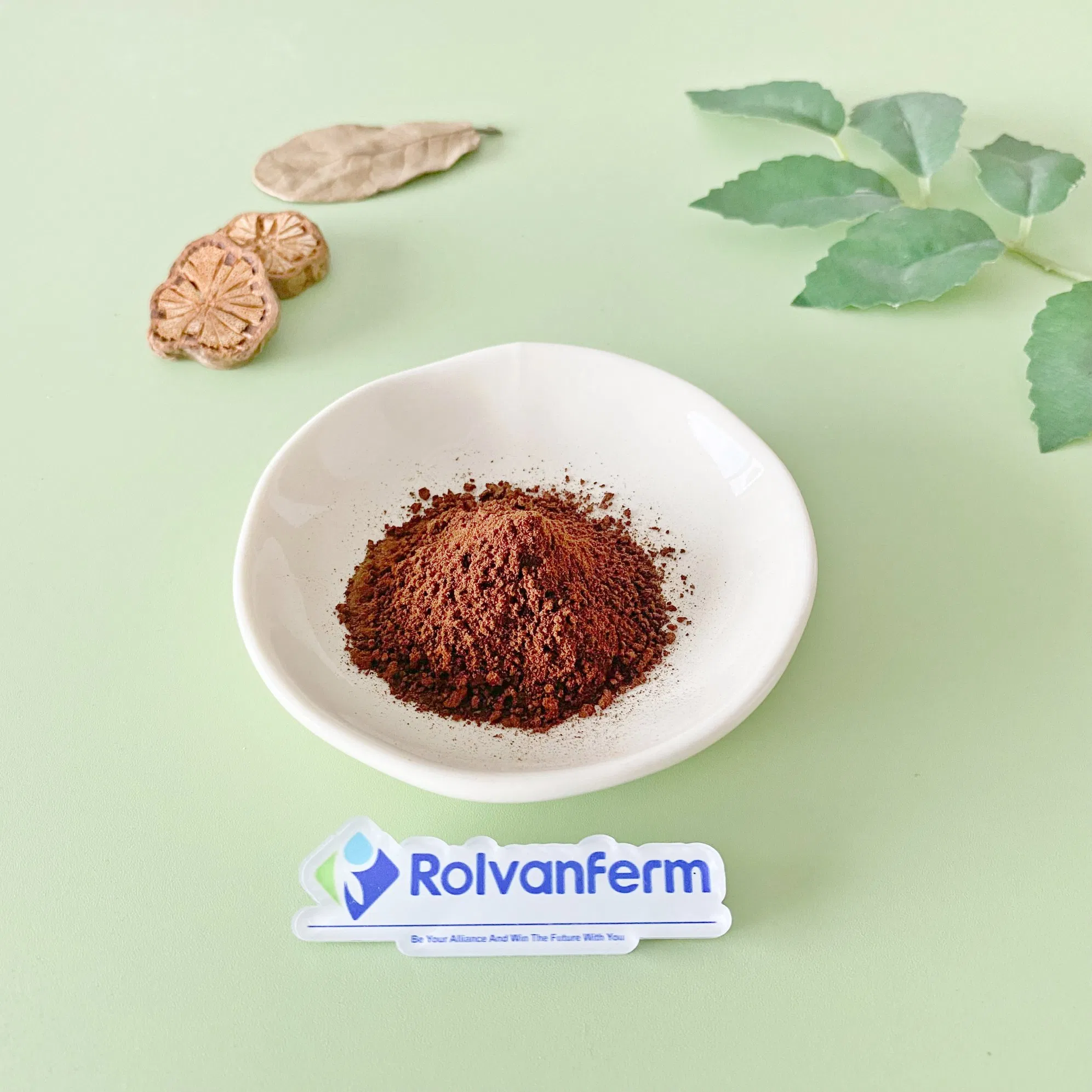 Cosmetic Grade Chrysanthemum Parthenium Extract Feverfew Extract Tanacetum Parthenium Standardized Parthenolide for Migraine Prophylaxis &Health Supplements