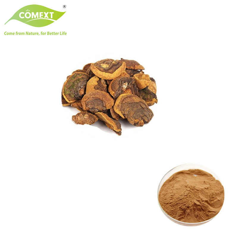 Comext Supply Organic Plant Extract Ganoderma Lucidum Extract Reishi Mushroom Extract Powder