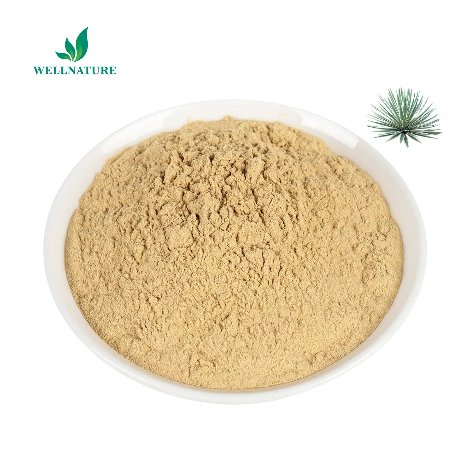 Natural Plant Manufacturer Feed Organic Schidigera Yucca Extract