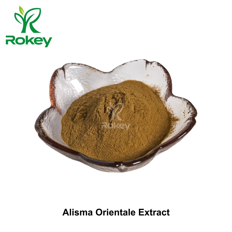 Premium Water Plantain for Herbal Formulations Powder Alisma Orientale Extract