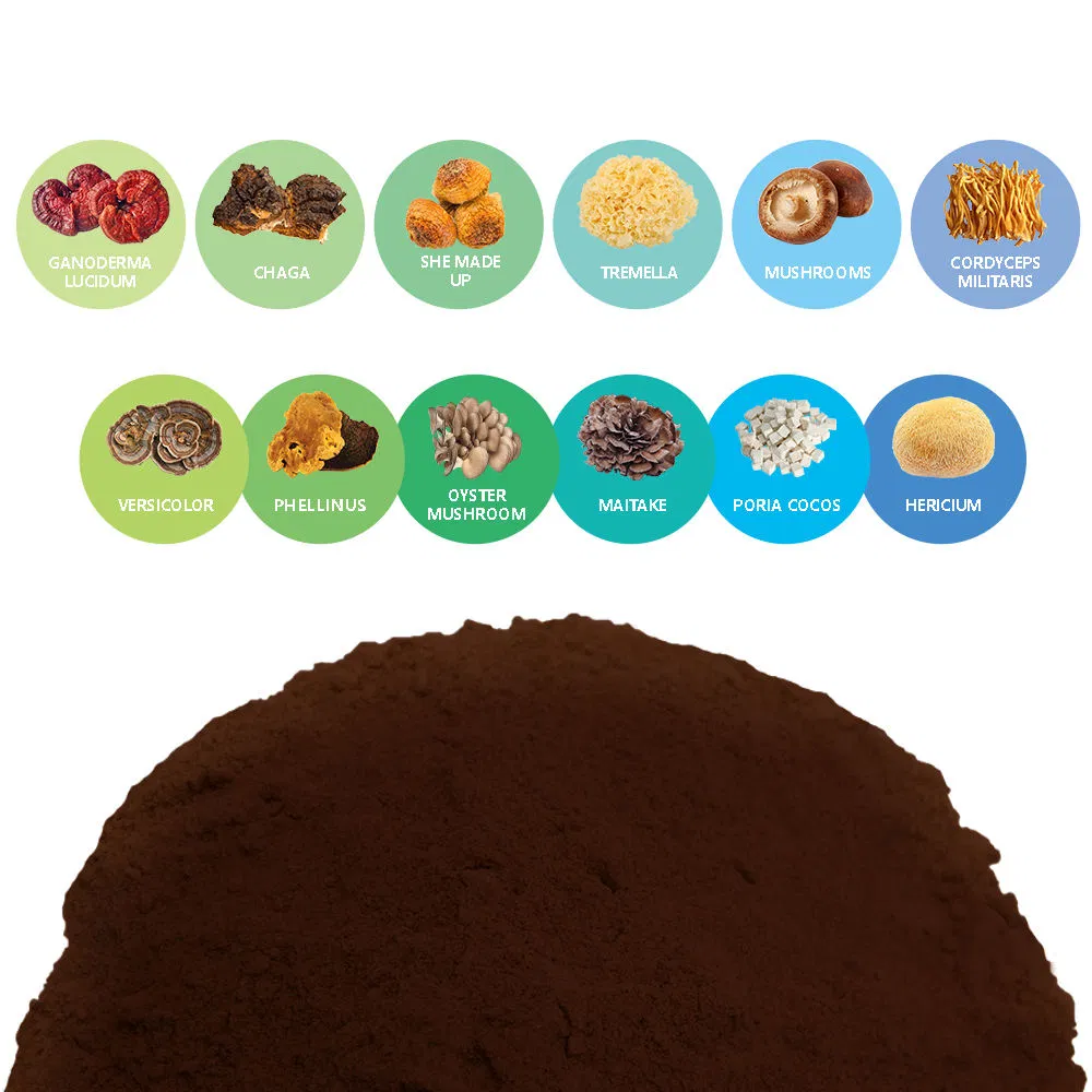 Organic Mix Mushroom Extract 1oo% Pure Herbal Plant Powder Blends High Quality Medicinal Mushroom