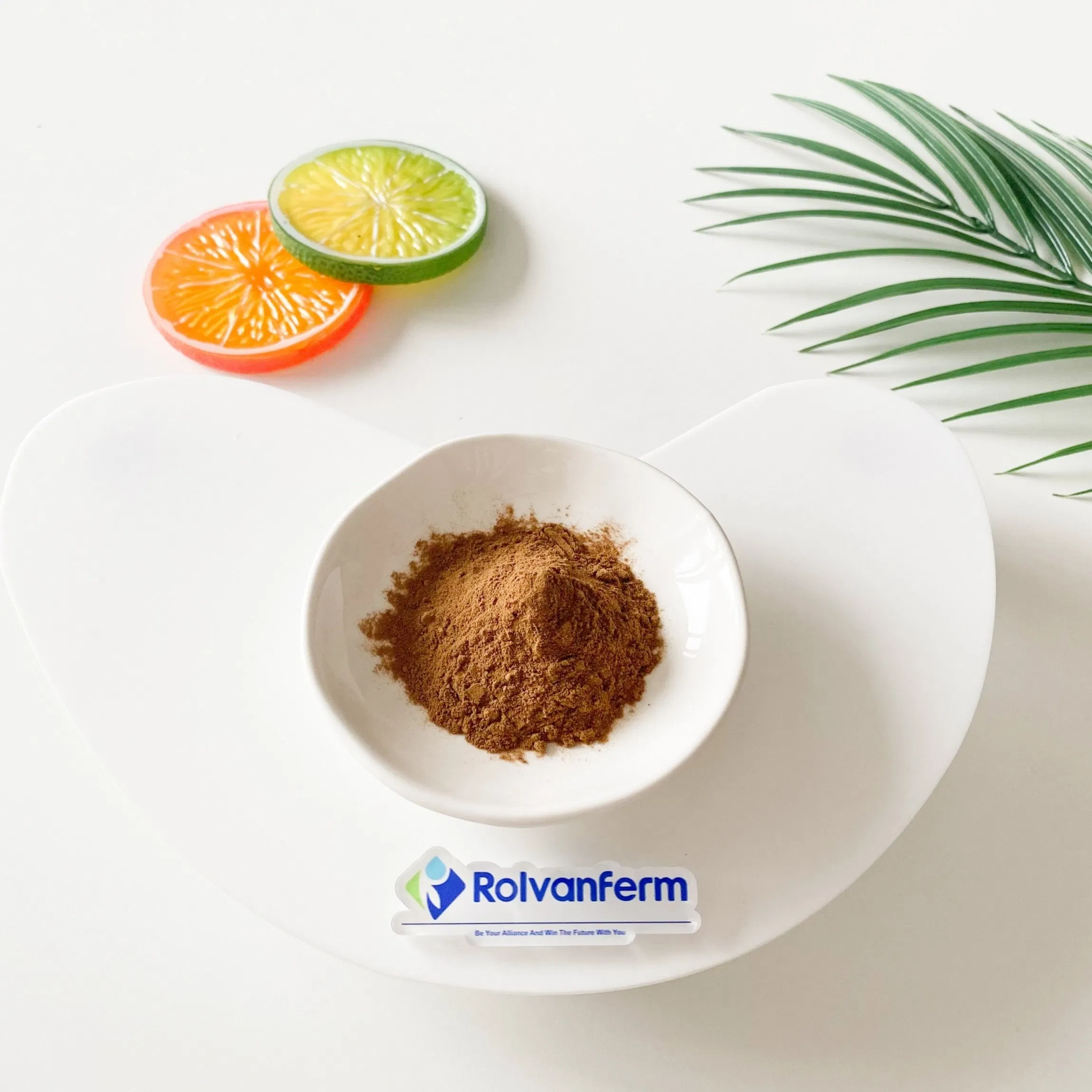 Sempervivum Tectorum Extract Natural Houseleek Plant Extract for Cosmetic, Skincare and Herbal Wellness Applications