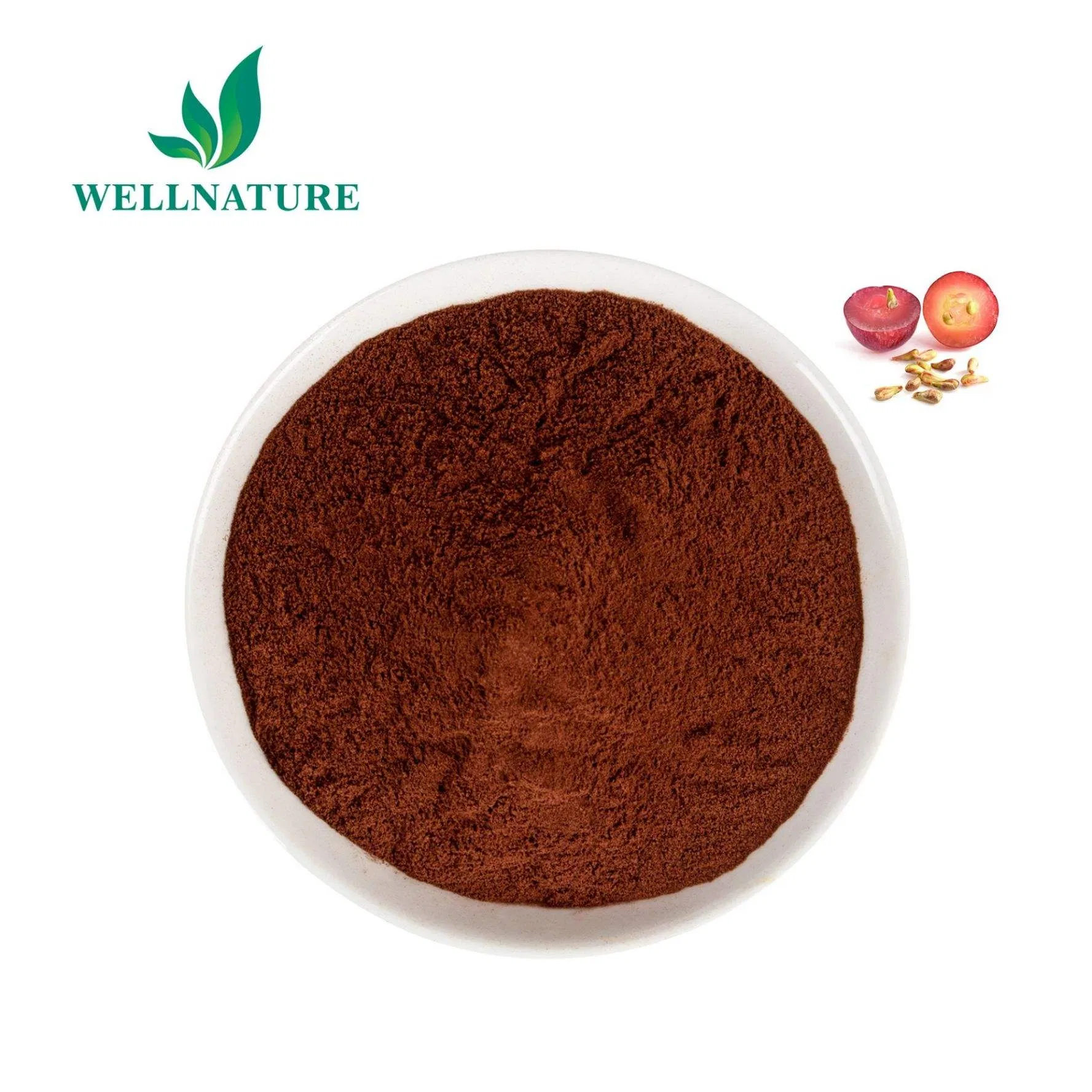 Standardized Grape Seed Extract 95% Proanthocyanidins for Premium Nutraceuticals with COA