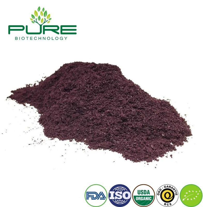 Organic Acai Berry Powder - Natural Fruit Extract for Instant Drinks