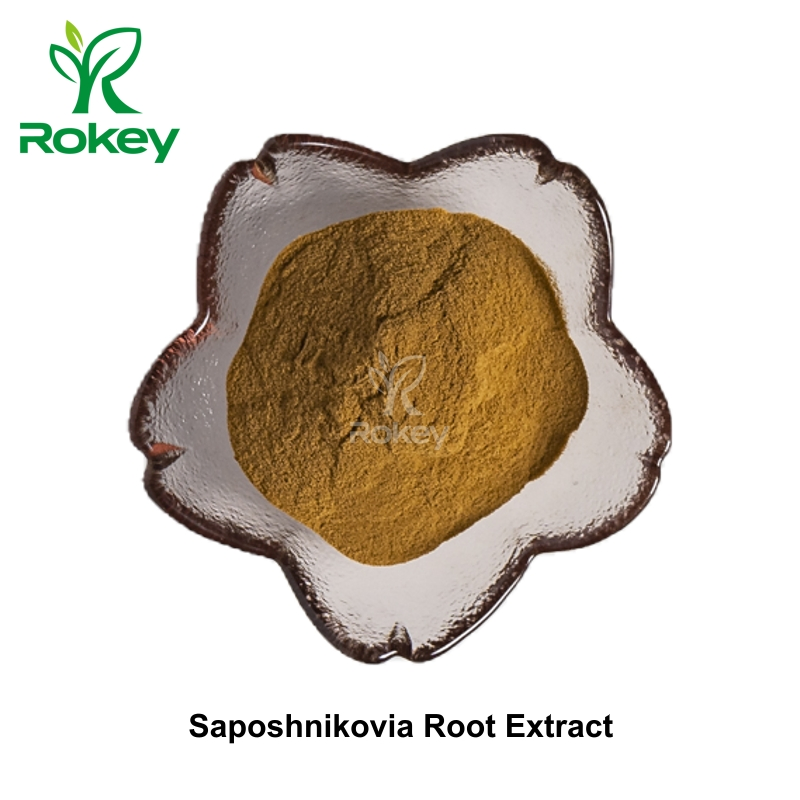 Premium Herbal Extract for Wellness Support Saposhnikovia Root Extract, Divaricate Saposhnikovia Extract