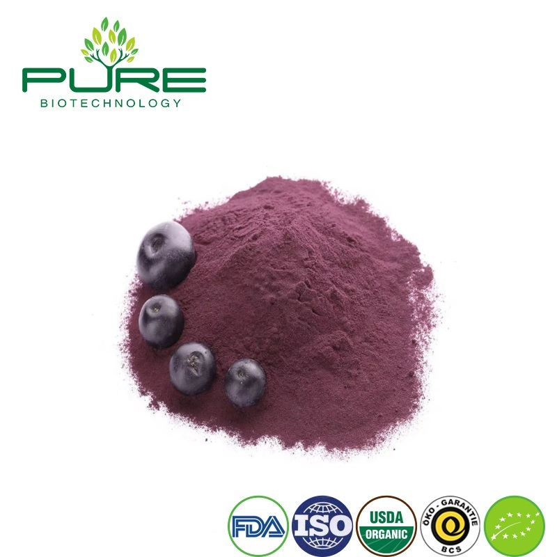 Organic Acai Berry Powder - Natural Fruit Extract for Instant Drinks